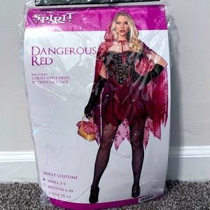 Brand new Halloween costume. Taken out of bag, but never worn.